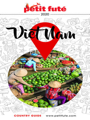 cover image of VIETNAM 2020 Petit Futé